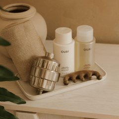 PURIFYING SHOWER FILTER