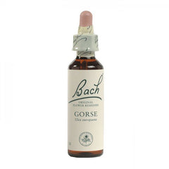 Gorse Bach Flower Remedy 10mL