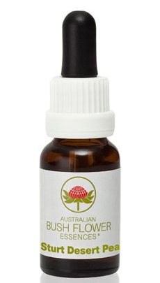 Sturt Desert Pea - Australian Bush Flower Essence Stock Bottle Remedy - 15mL