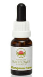 Kangaroo Paw - Australian Bush Flower Essence Stock Bottle Remedy - 15mL