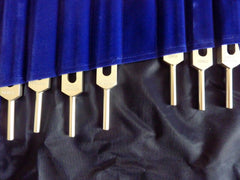 14 Acupuncture Meridian Tuning Fork Set - Unweighted