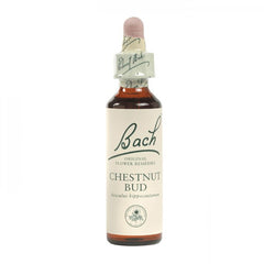 Chestnut Bud Bach Flower Remedy 10mL