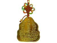 Good Business Feng Shui Amulet Coin
