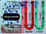 Ionic Foot Spa Body Detoxification - Professional Unit