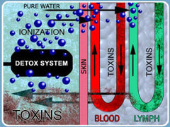 Ionic Foot Spa Body Detoxification - Professional Unit