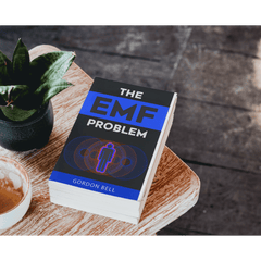 The EMF Problem Book