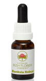 Banksia Robur - Australian Bush Flower Essence Stock Bottle Remedy - 15mL