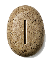 ISA rune stone