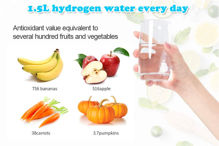 Hydrogen Water Bottle