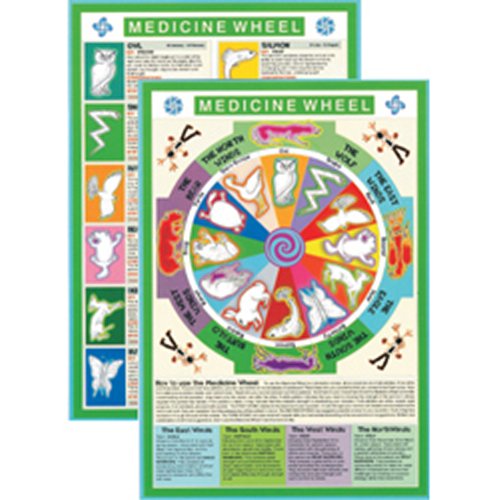 Medicine Wheel Mini Chart