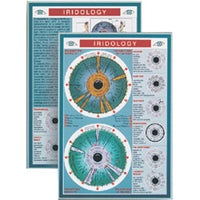 Iridology Mini Chart