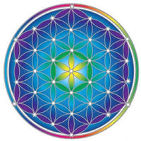 Flower of Life Mandala Sunseal