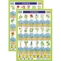 Herbs Mini Chart