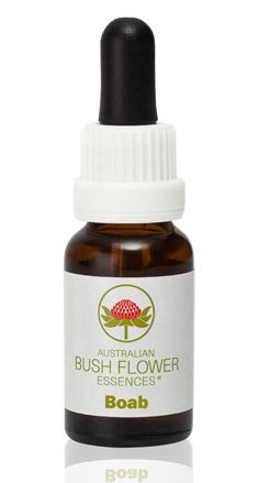 Boab - Australian Bush Flower Essence Stock Bottle Remedy - 15mL