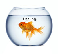 Dr Emoto Water Consciousness Static Cling Labels Kit