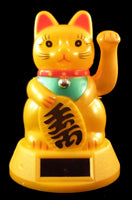 Welcoming Lucky Money Cat