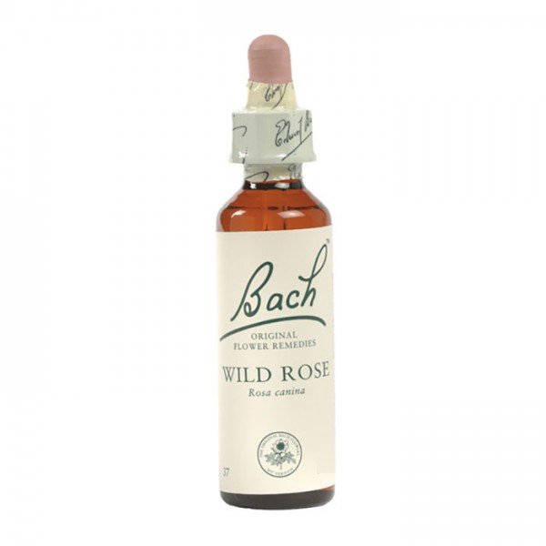 Wild Rose Chestnut Bach Flower Remedy 10mL