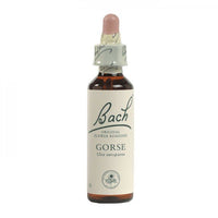 Gorse Bach Flower Remedy 10mL