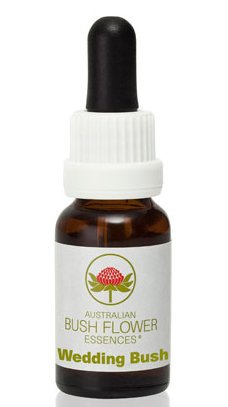 Wedding Bush - Australian Bush Flower Essence Stock Bottle Remedy - 15mL