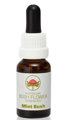 Mint Bush - Australian Bush Flower Essence Stock Bottle Remedy - 15mL