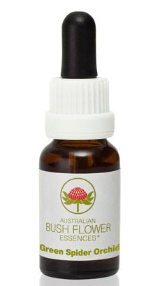 Green Spider Orchid - Australian Bush Flower Essence Stock Bottle Remedy - 15mL