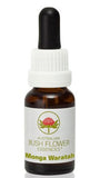 Monga Waratah - Australian Bush Flower Essence Stock Bottle Remedy - 15mL