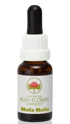 Mulla Mulla - Australian Bush Flower Essence Stock Bottle Remedy - 15mL