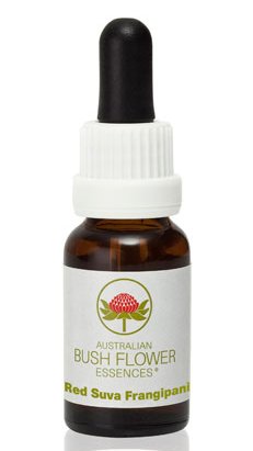 Red Suva Frangipani - Australian Bush Flower Essence Stock Bottle Remedy - 15mL