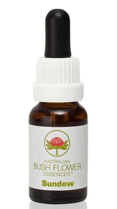 Sundew - Australian Bush Flower Essence Stock Bottle Remedy - 15mL