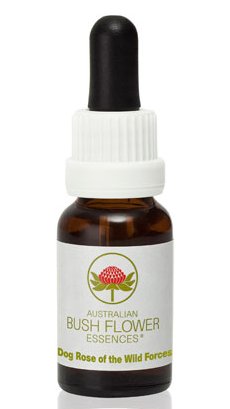 Dog Rose of the Wild Forces - Australian Bush Flower Essence Stock Bottle Remedy - 15mL