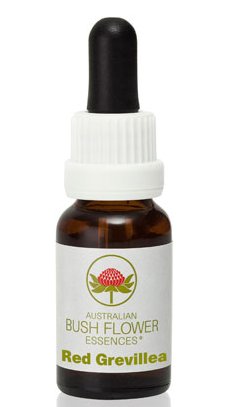 Red Grevillea - Australian Bush Flower Essence Stock Bottle Remedy - 15mL