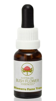 Illawarra Flame Tree - Australian Bush Flower Essence Stock Bottle Remedy - 15mL