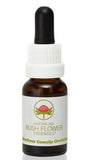 Yellow Cowslip Orchid - Australian Bush Flower Essence Stock Bottle Remedy - 15mL