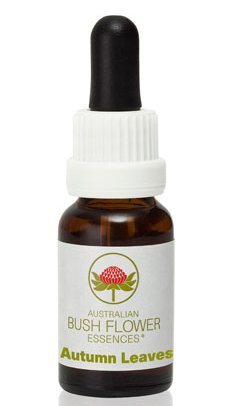 Autumn Leaves - Australian Bush Flower Essence Stock Bottle Remedy - 15mL