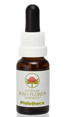 Philotheca - Australian Bush Flower Essence Stock Bottle Remedy - 15mL