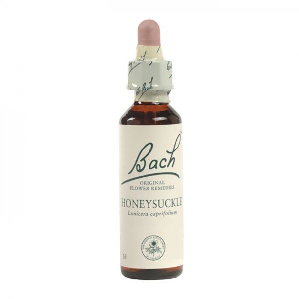 Honeysuckle Bach Flower Remedy 10mL