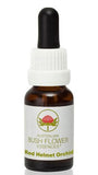 Red Helmet Orchid - Australian Bush Flower Essence Stock Bottle Remedy - 15mL