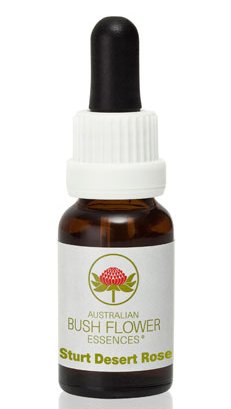 Sturt Desert Rose - Australian Bush Flower Essence Stock Bottle Remedy - 15mL