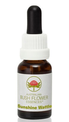 Sunshine Wattle - Australian Bush Flower Essence Stock Bottle Remedy - 15mL