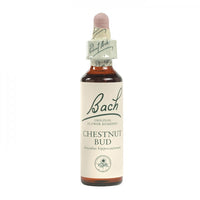 Chestnut Bud Bach Flower Remedy 10mL