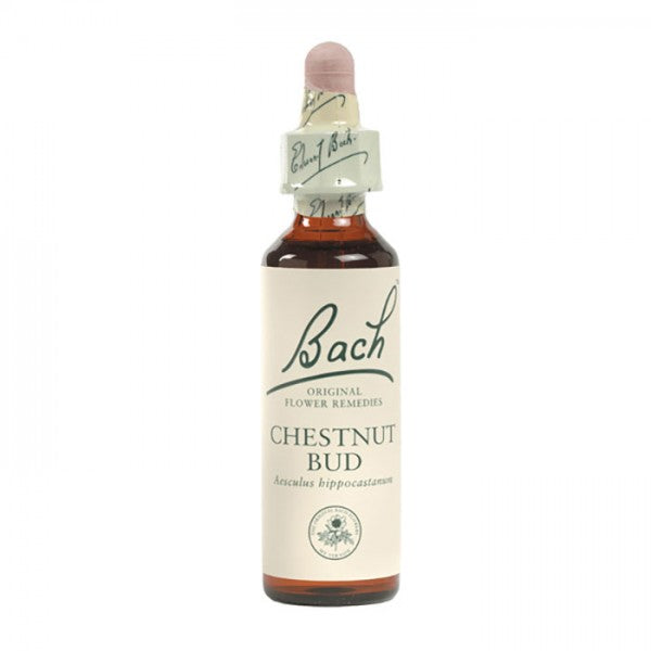 Chestnut Bud Bach Flower Remedy 10mL