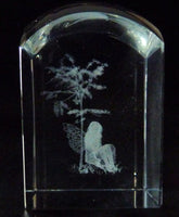 Fairy and Tree Dome Crystal