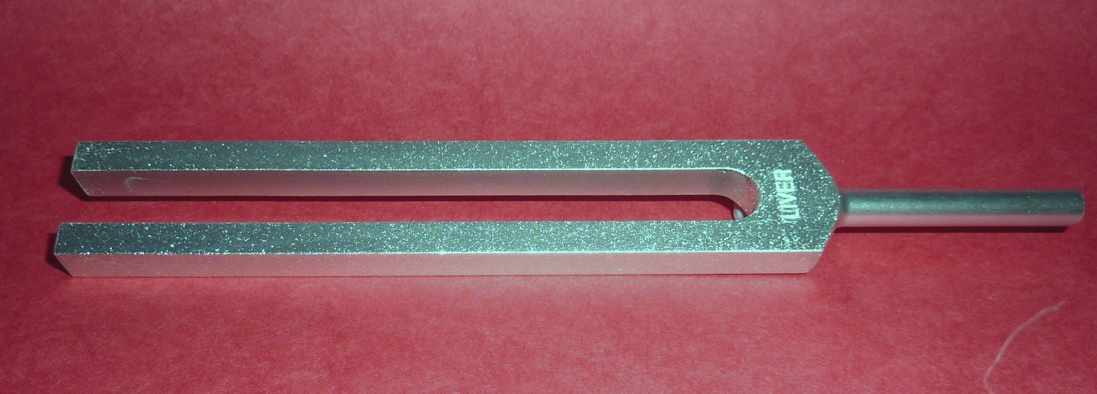 Human Organ Tuning Forks - Unweighted