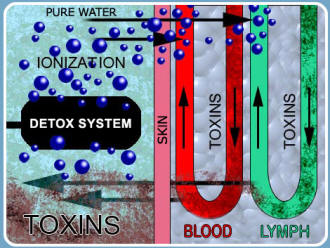 Ionic Foot Spa Body Detoxification - Home Unit
