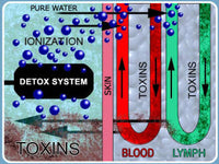 Ionic Foot Spa Body Detoxification - Home Unit