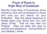 Our Lady of Guadalupe Pendant