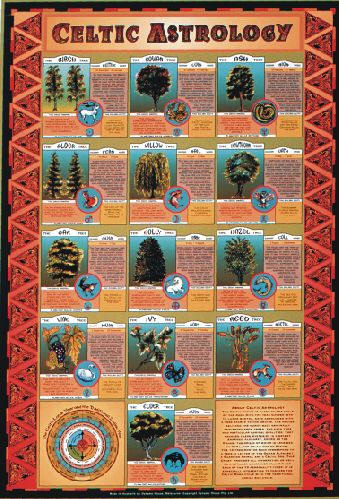 Celtic Astrology Wall Chart