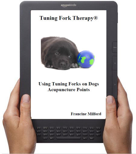 Using Tuning Forks on a Dog's Acupuncture Points eBook