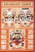 Reflexology Wall Chart