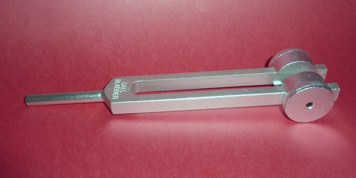 Human Organ Tuning Forks (Weighted)